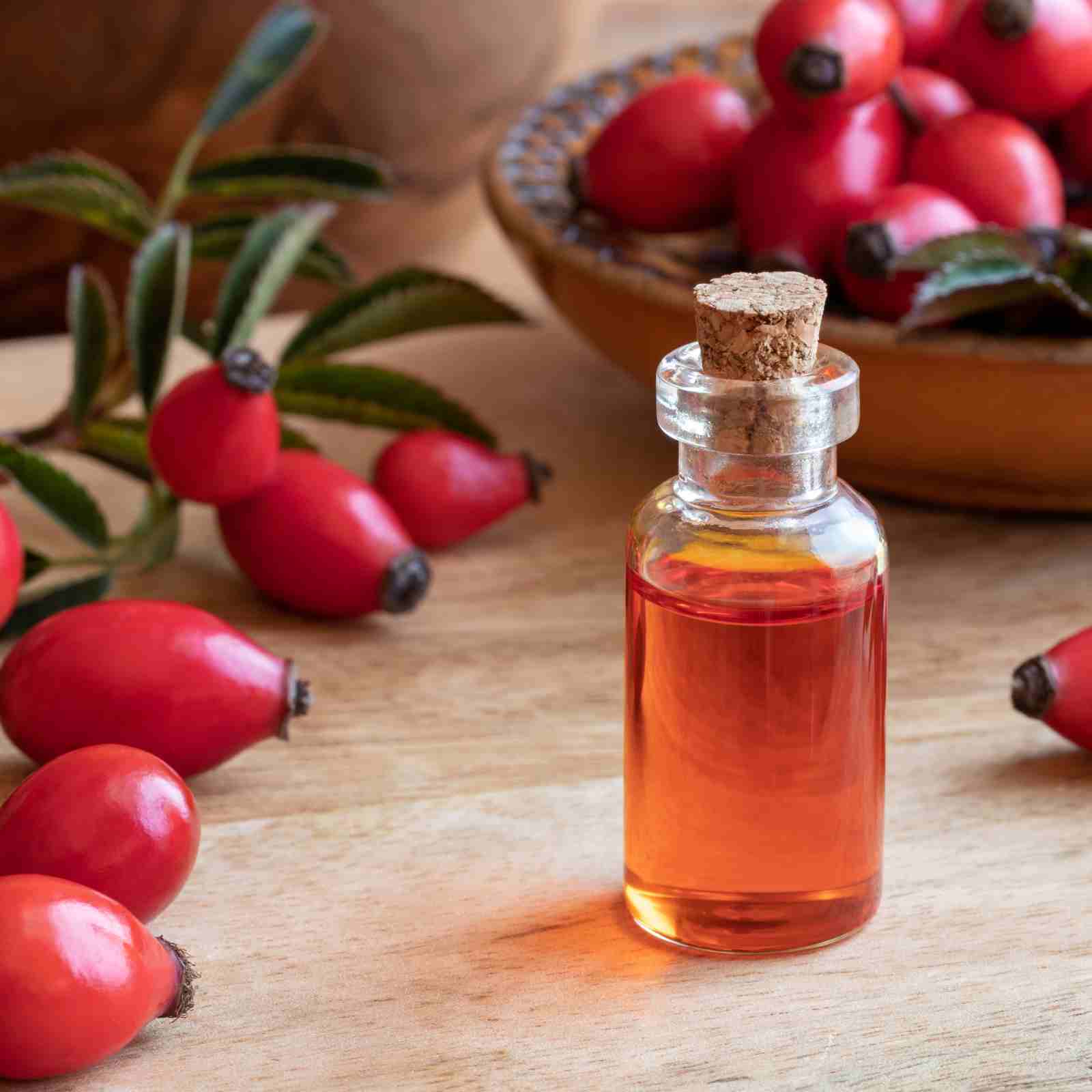 bunch of rosehips and oil in jar
