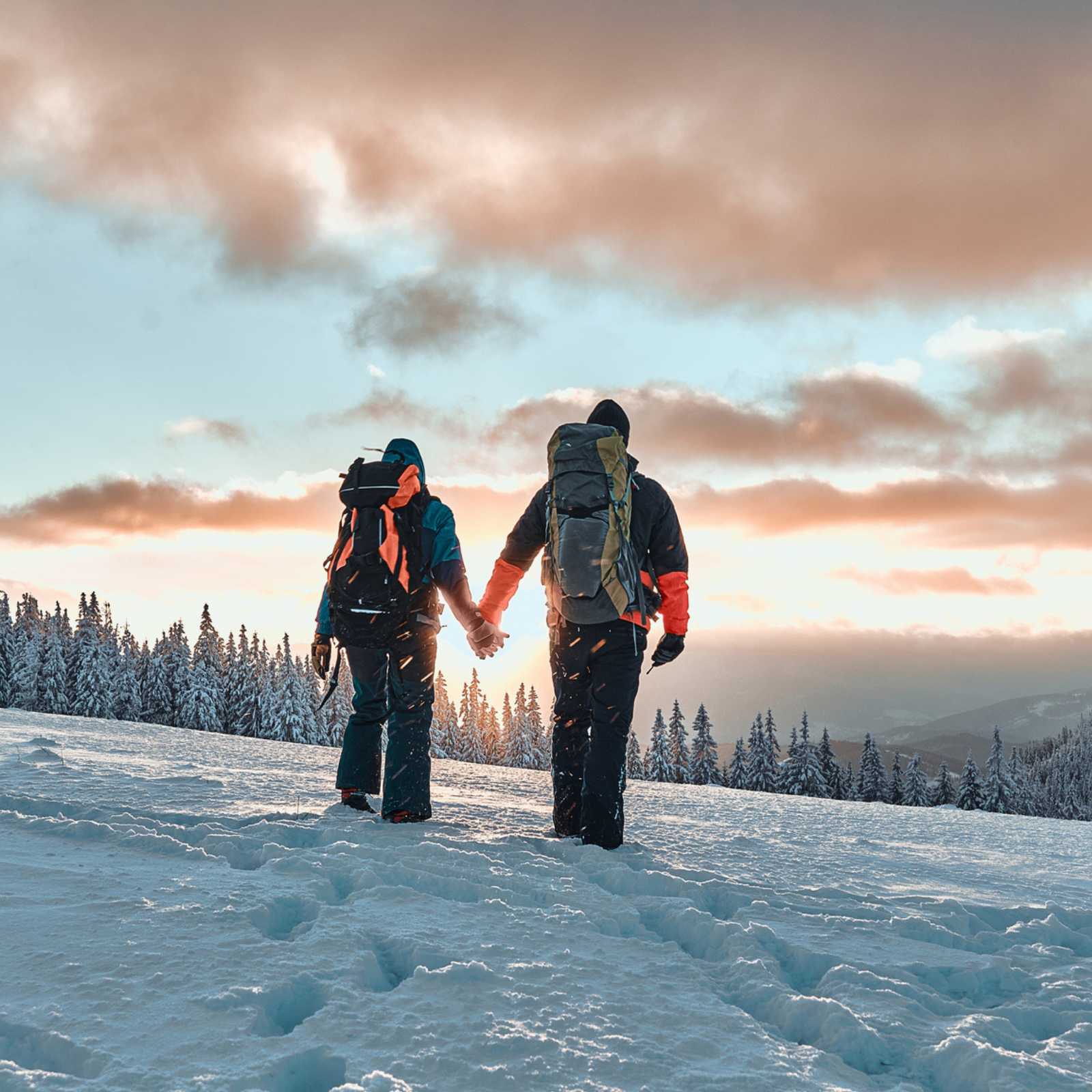 couple holding hands and walking in the snow