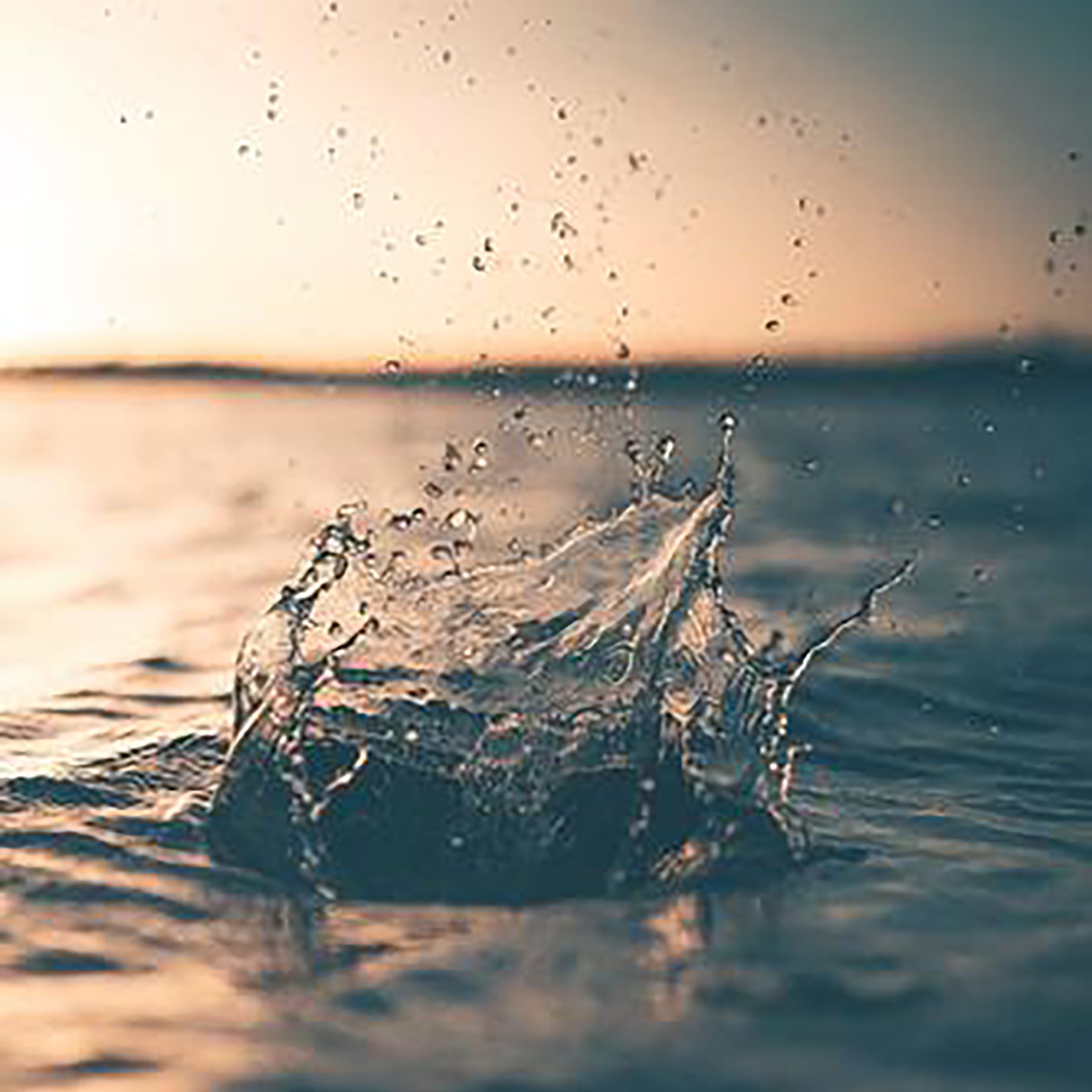 splash in water