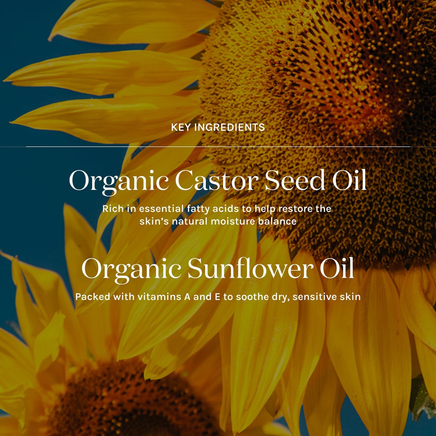 Essential Cleansing Oil