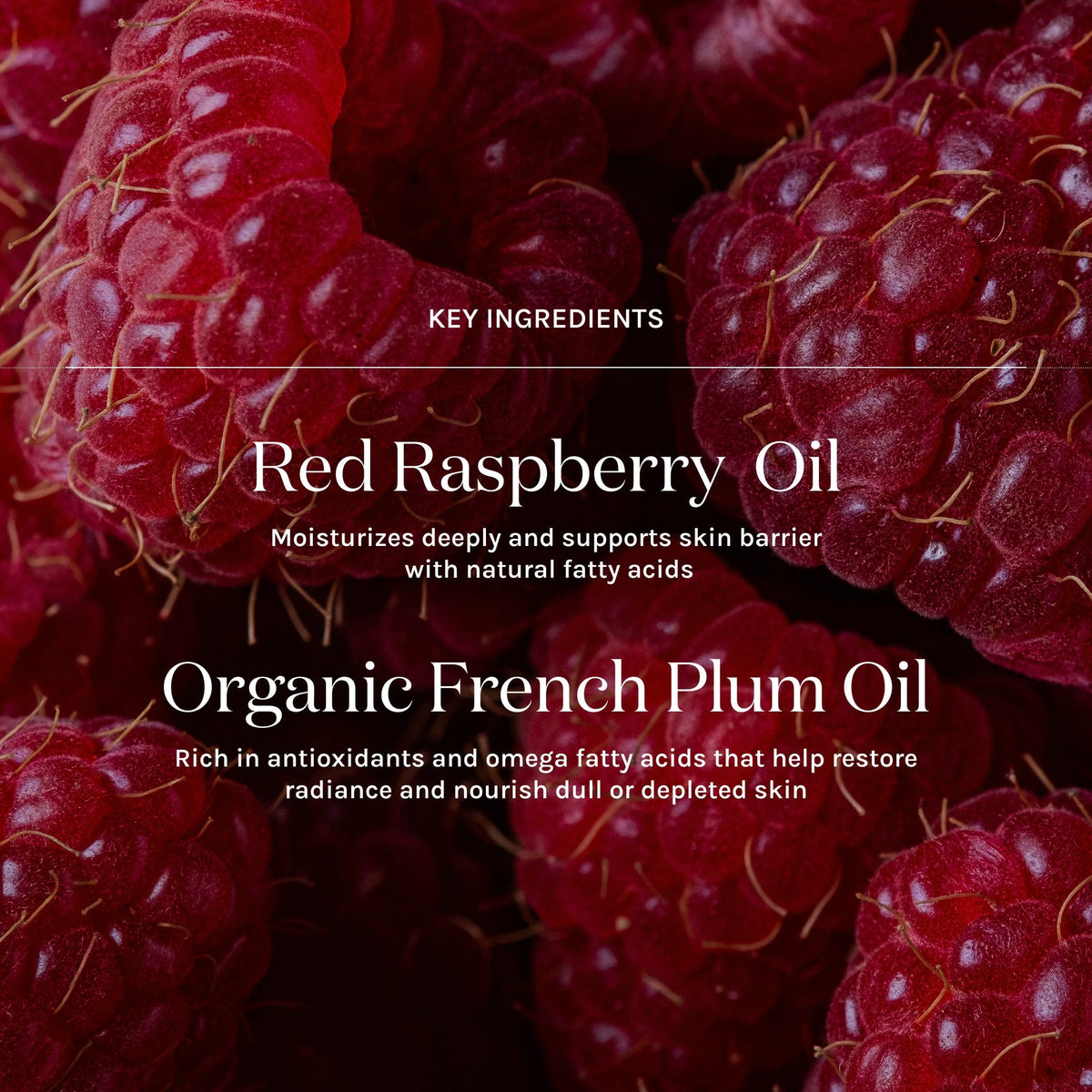 key ingredients of essential tinted spf