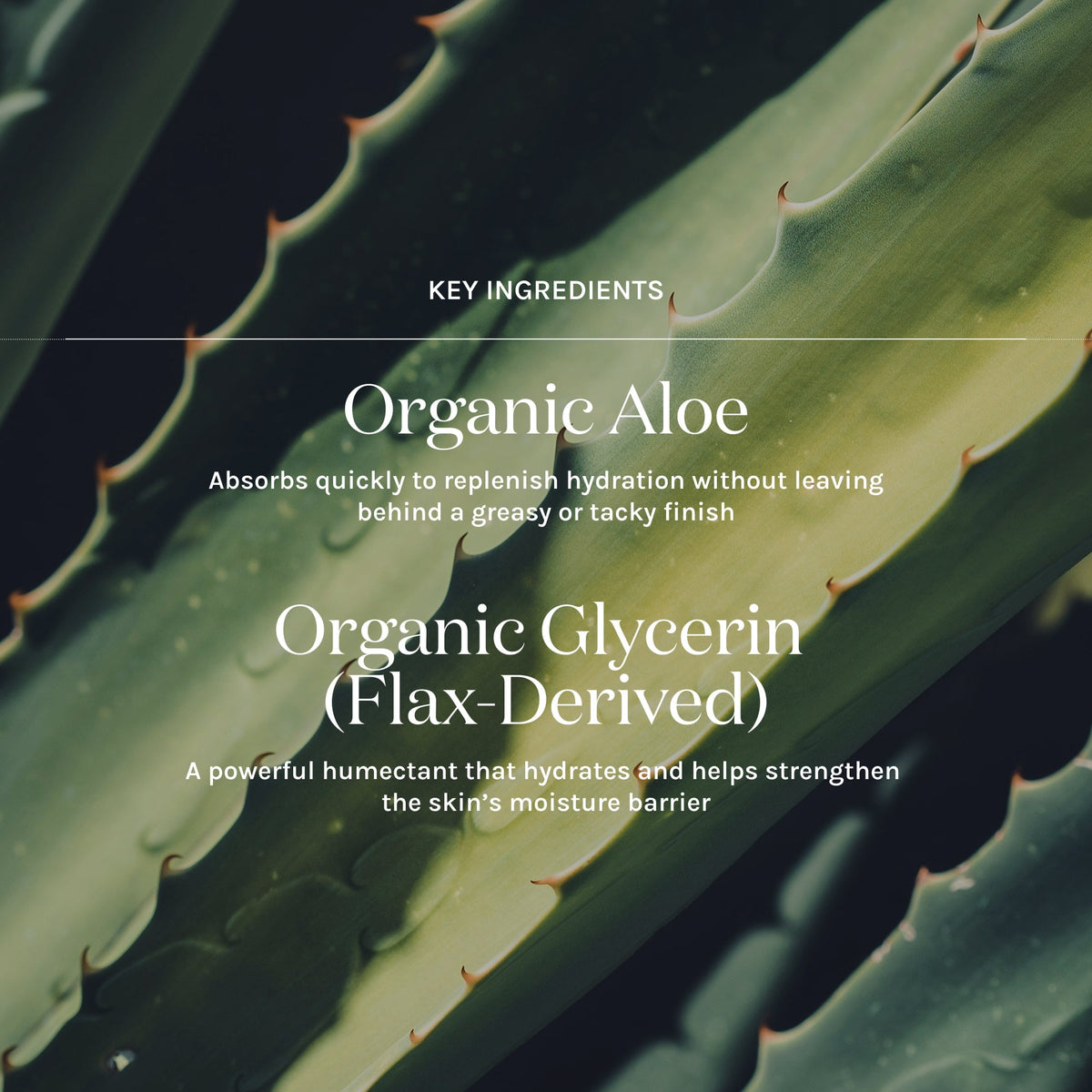 key ingredients in essential hydrating tonic