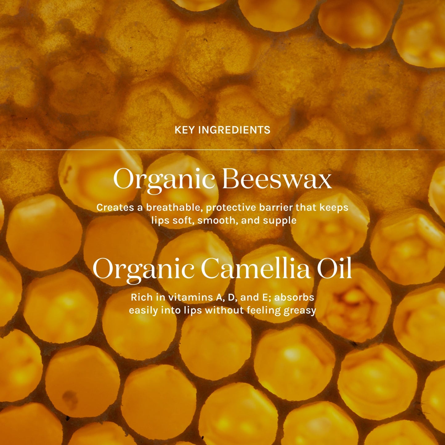 key ingredients of lip whip tinted