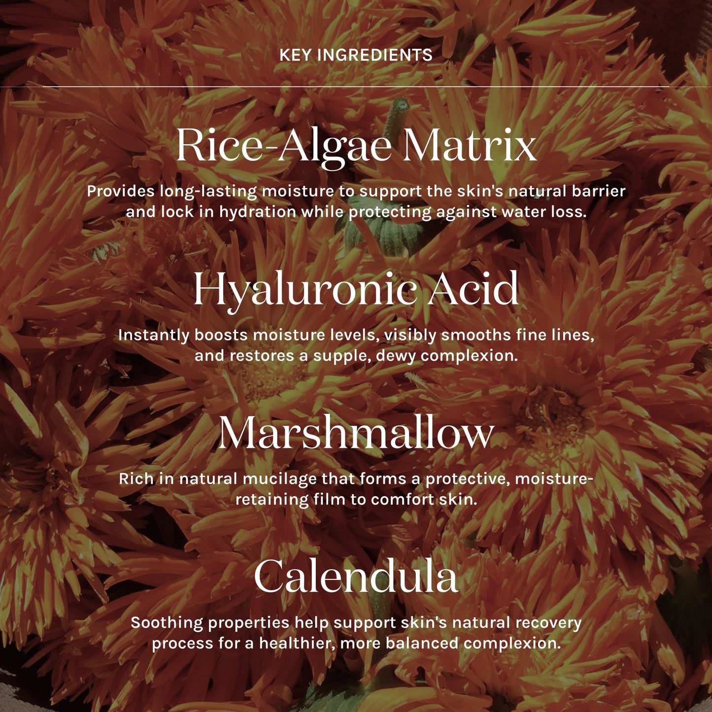 Product label with key ingredients on a floral background