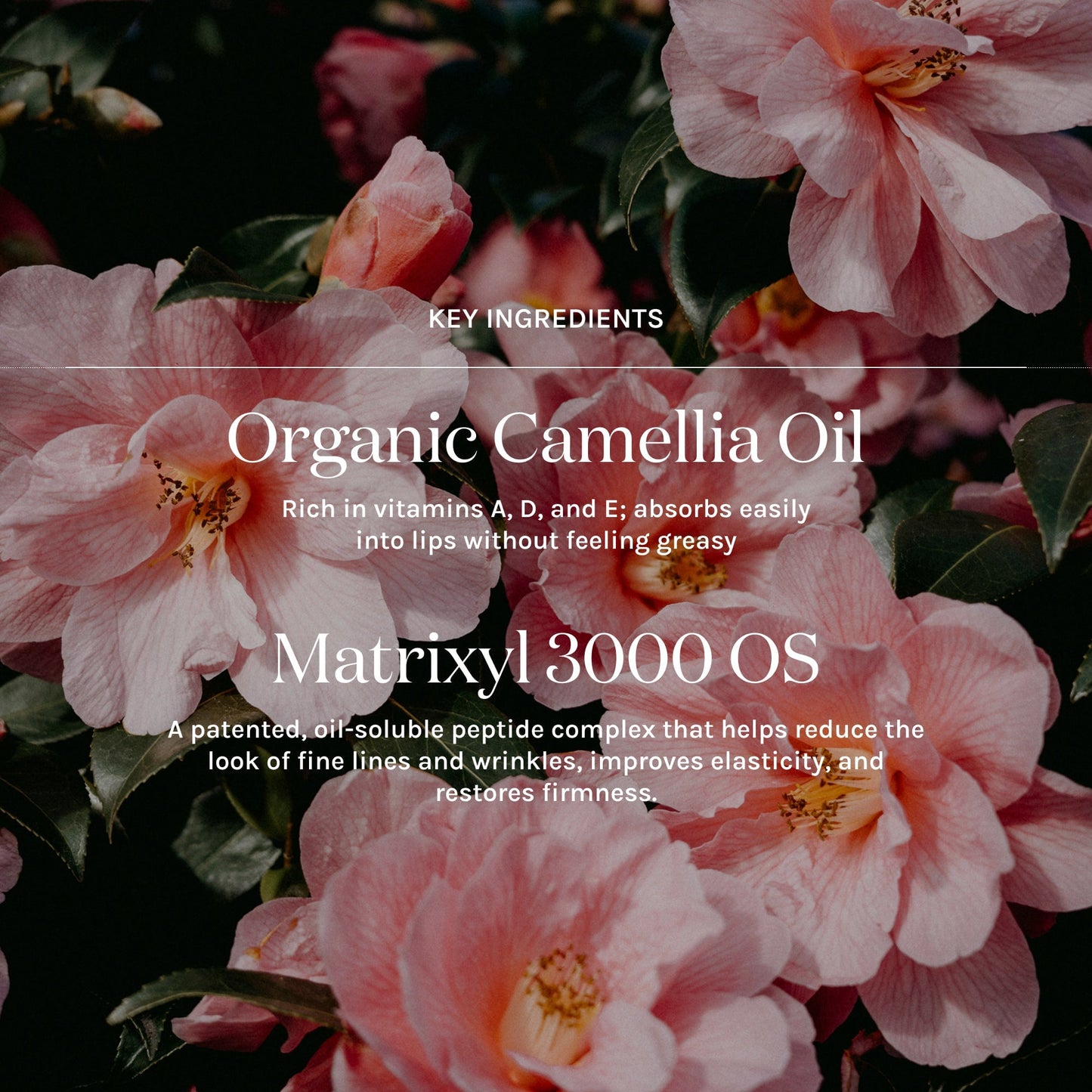 Glowing Skin Mini Trio