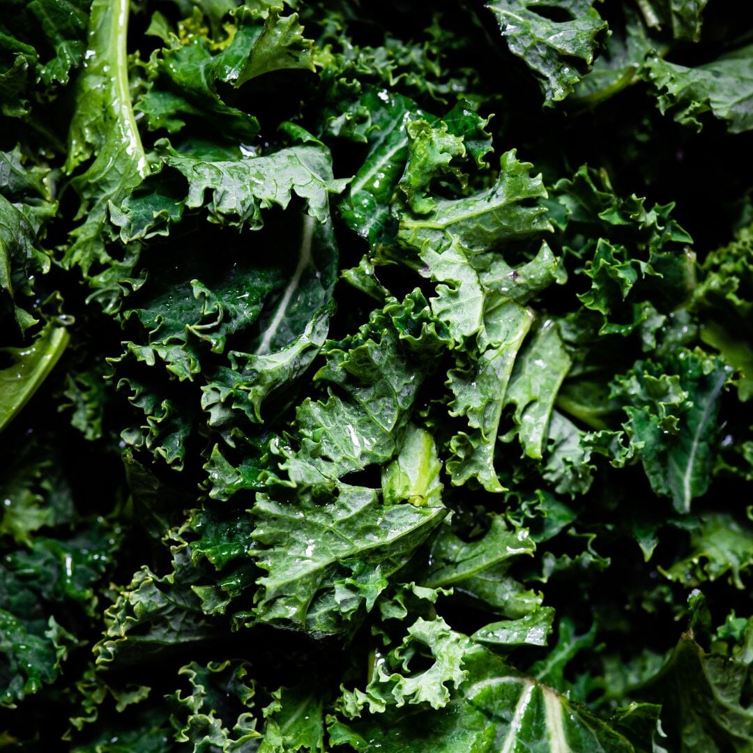 up close photo of kale