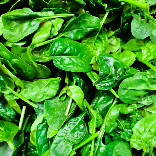 spinach leaves