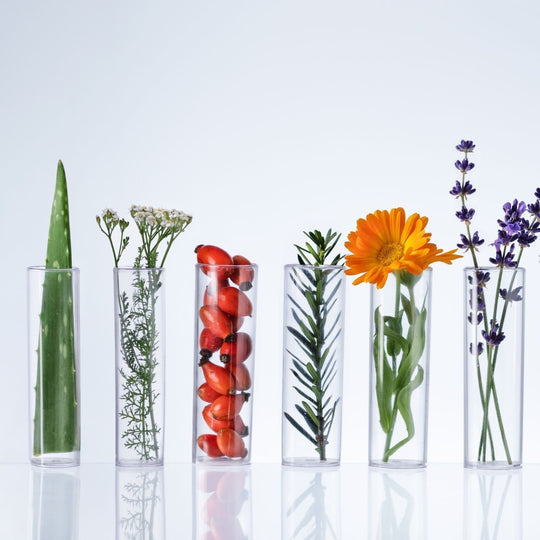 Are Plant-Based Products Better for Your Skin?
