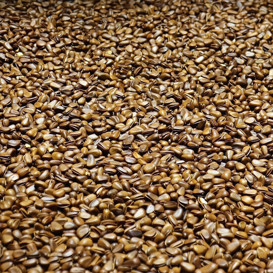 image of flaxseeds