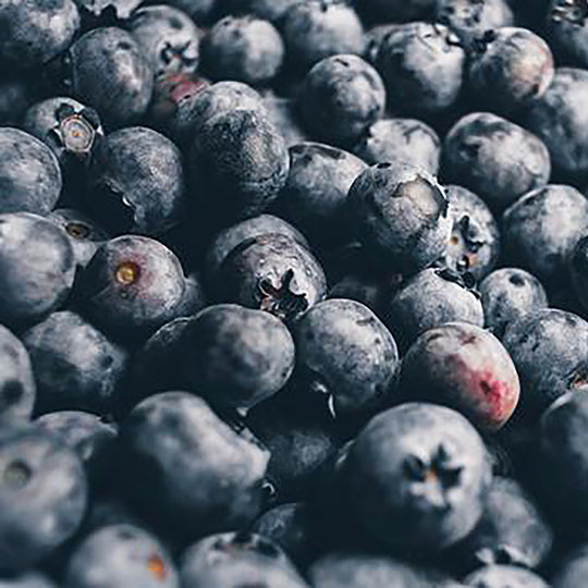 bushel of blueberries