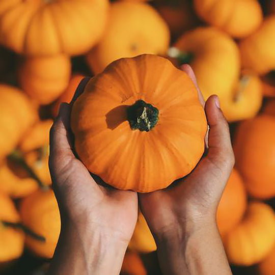woman holding pumpkin
